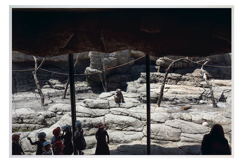 © Marilia Vieira - Image from the VIEIRA, Apt 1010 photography project