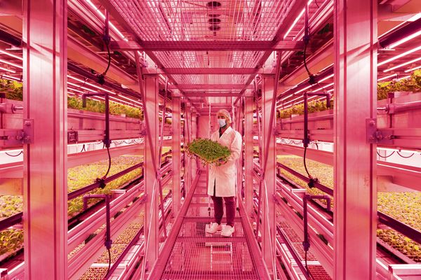 © Francesco Rucci & Francesco Marinelli - Image from the Future Food photography project