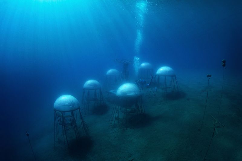 © Francesco Rucci & Francesco Marinelli - Image from the Future Food photography project