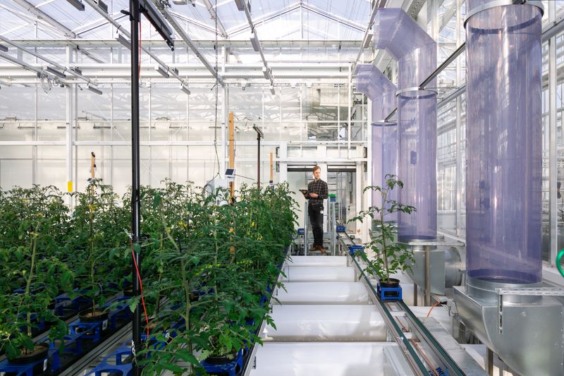 © Francesco Rucci & Francesco Marinelli - Image from the Future Food photography project