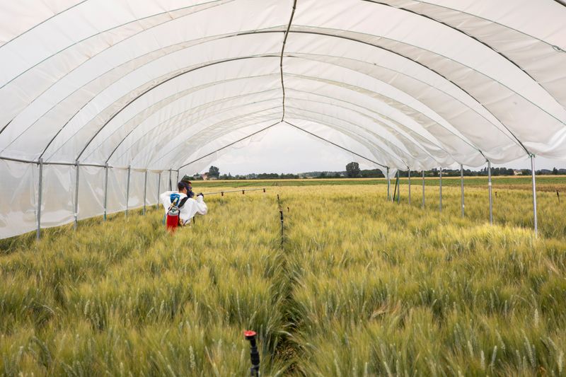 © Francesco Rucci & Francesco Marinelli - Image from the Future Food photography project