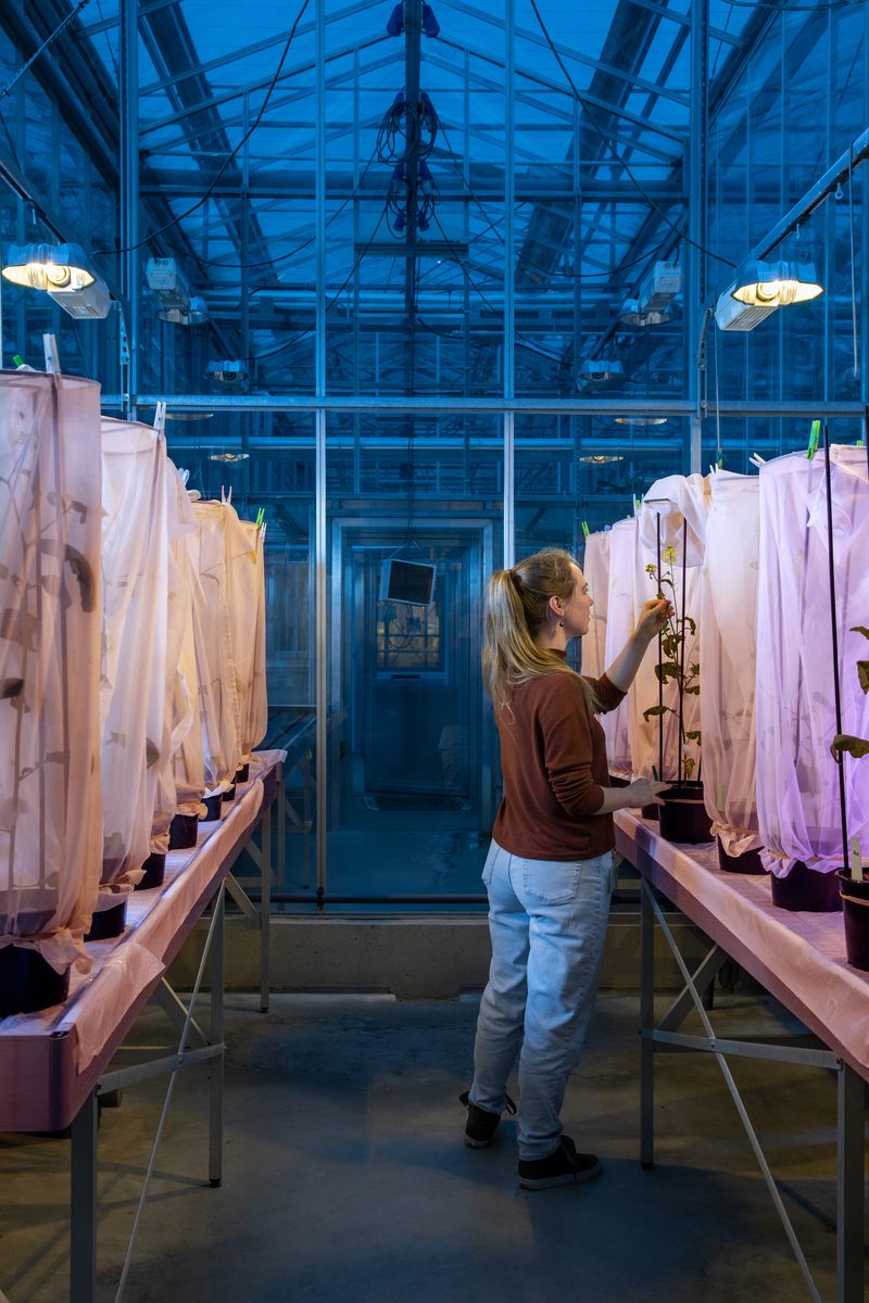 © Francesco Rucci & Francesco Marinelli - Image from the Future Food photography project