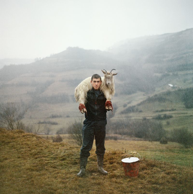 © Laura Pannack - The offering ,they got used to each other bit by bit