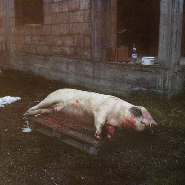 © Laura Pannack - Long life, master. At your service