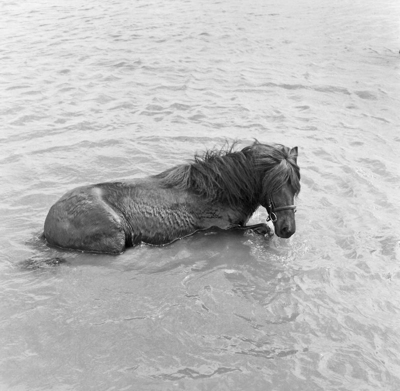 © Laura Pannack - Image from the Chapter 2- Tales from The Dübener Heide photography project