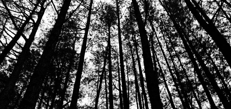 © Joseph Tasman - Image from the ᯖᯉᯬ ᯂᯎᯬᯑᯝᯉ᯲ - Tano Hagodangan photography project