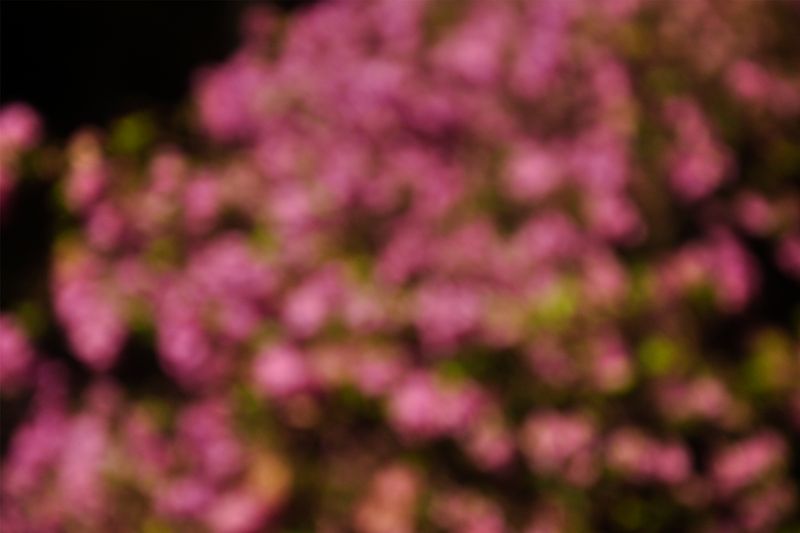 © Joseph Tasman - Image from the Jauh photography project