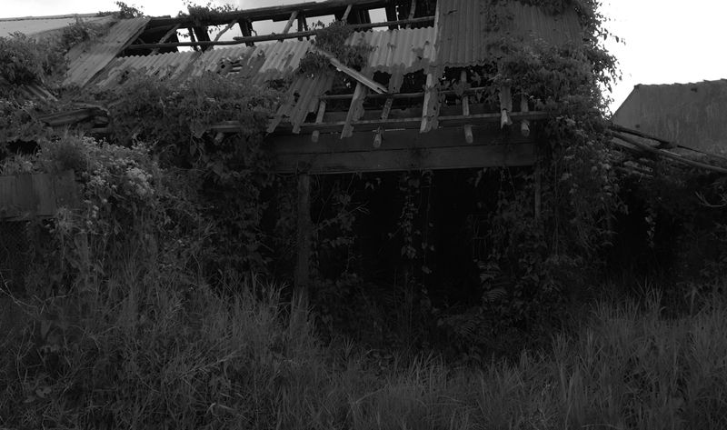 © Joseph Tasman - Image from the Remnants of An Eruption photography project