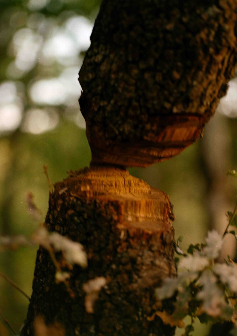 © Giovanni Giusti - Image from the Il lago photography project