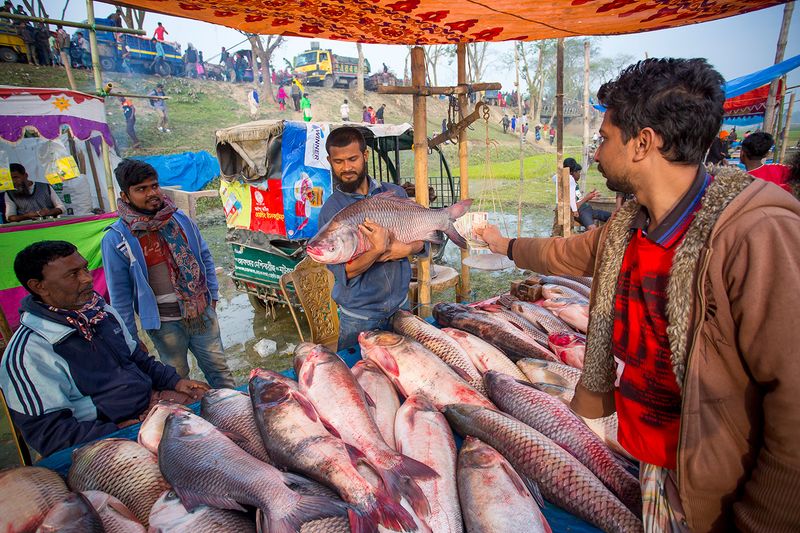 © Jahangir Alam Onuchcha - A fish stall at Poradaha Mela in Gabtali upazila of Bogra district in Bangladesh.