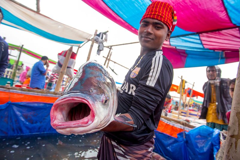 © Jahangir Alam Onuchcha - Sellers display a ‘Katala’ fish weighing 10kg at ‘Poradaha Mela’