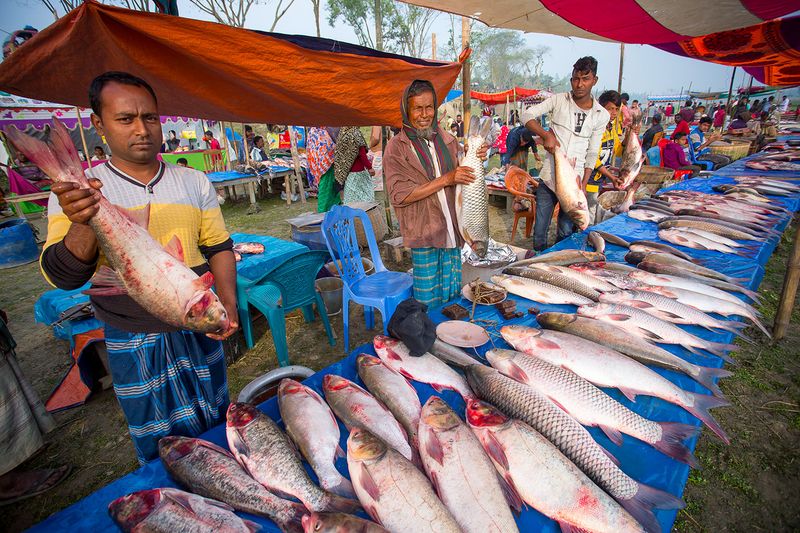 © Jahangir Alam Onuchcha - The main attractions of this 150-year-old traditional fair are various types of fish from the local rivers.