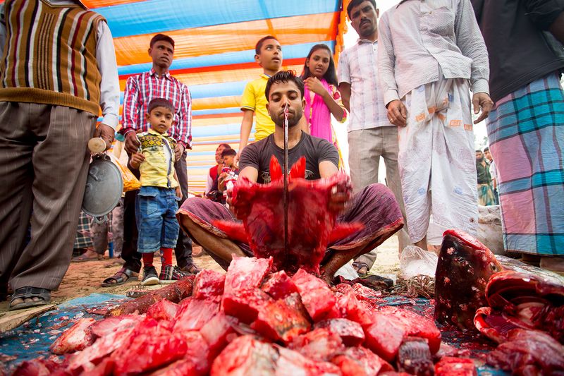 © Jahangir Alam Onuchcha - A labor slicing big size of fishes.