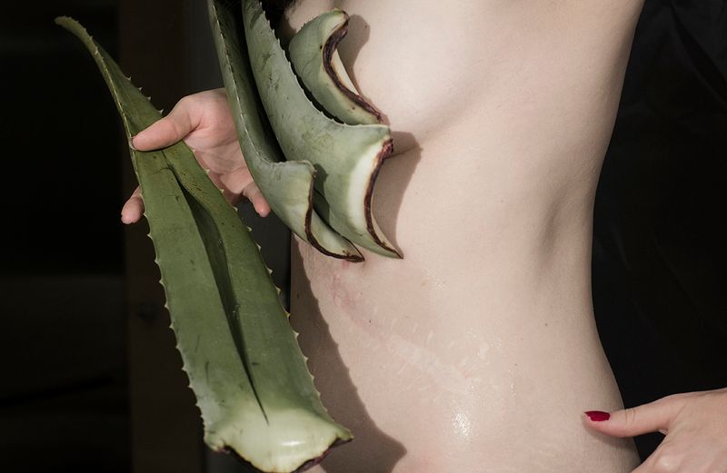 © Izabela Jurcewicz - Closed and Opened