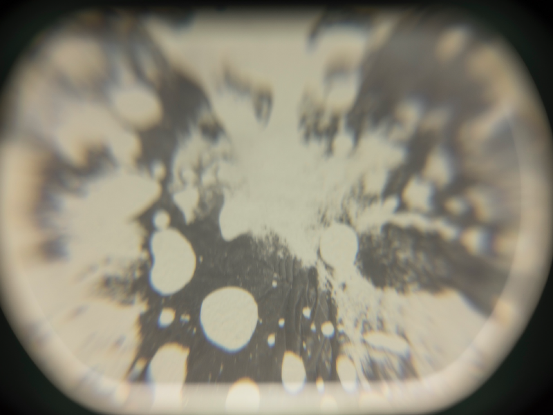 © Izabela Jurcewicz - Negative No. II