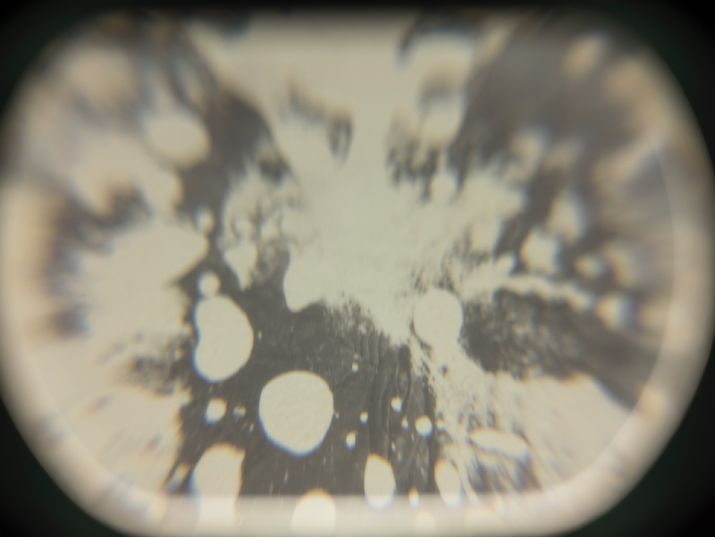 © Izabela Jurcewicz - Negative No. II