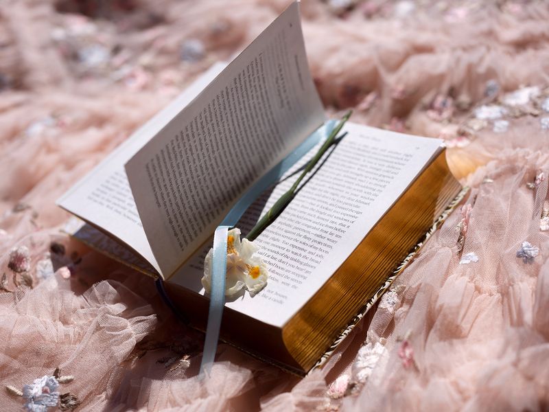 © Izabela Jurcewicz - Turning chapters