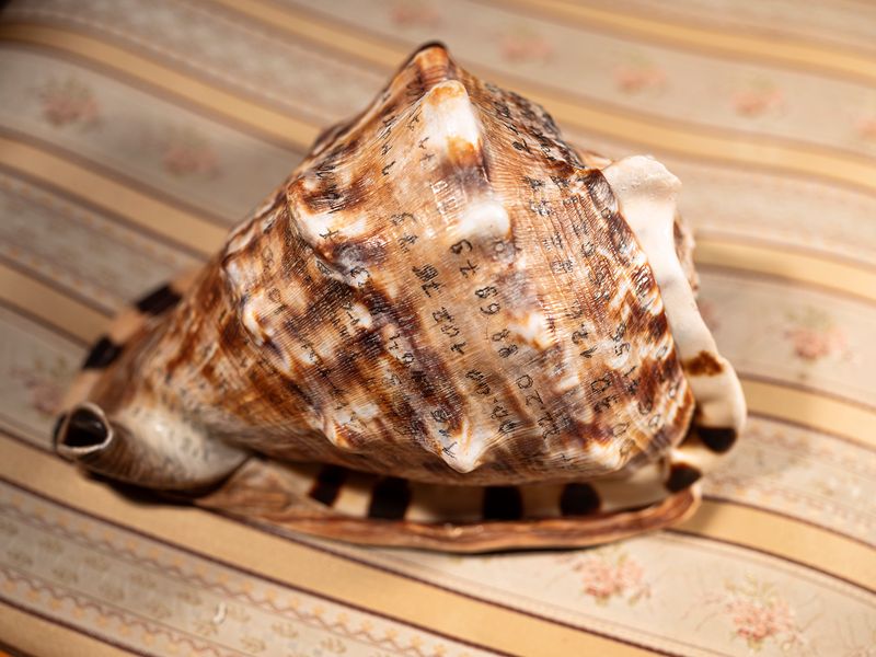 © Izabela Jurcewicz - My dying Father's blood pressure written on a vessel