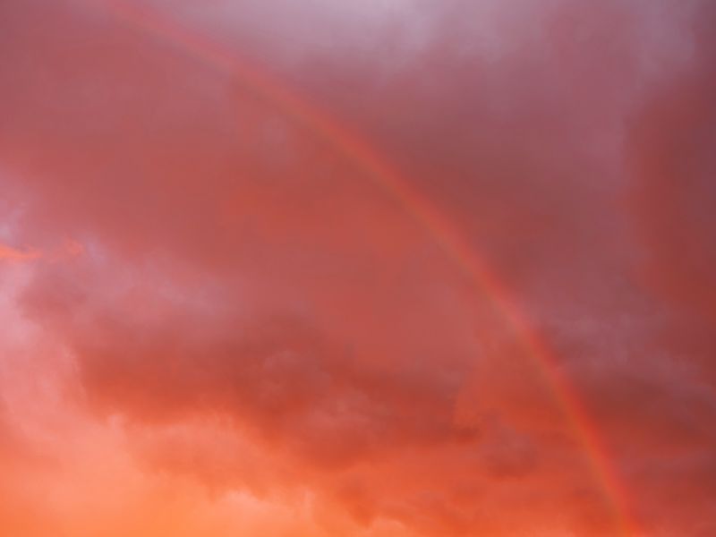 © Izabela Jurcewicz - Hope