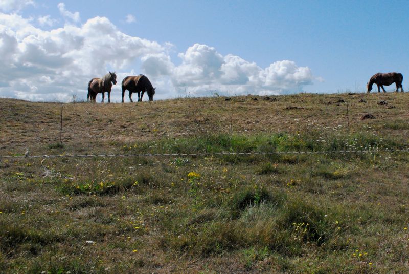 © julie cornec - Image from the clouds and resilience photography project