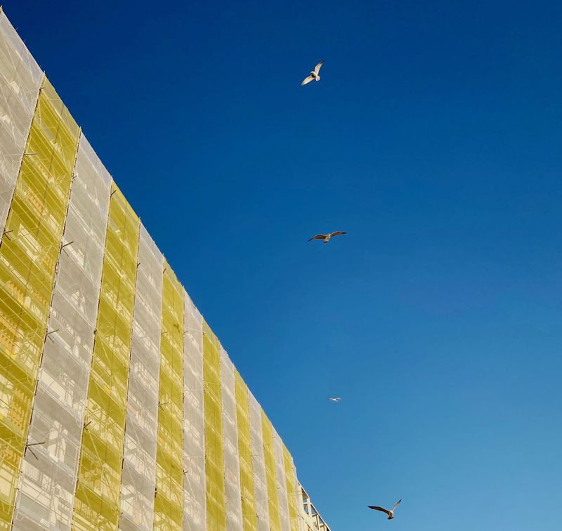 © julie cornec - Image from the clouds and resilience photography project