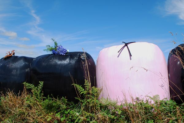 © julie cornec - Image from the Save your life and find peace in an increasingly squizophrenic world. photography project