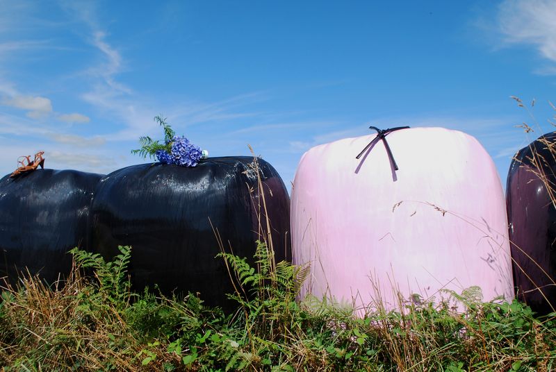 © julie cornec - Image from the Save your life and find peace in an increasingly squizophrenic world. photography project
