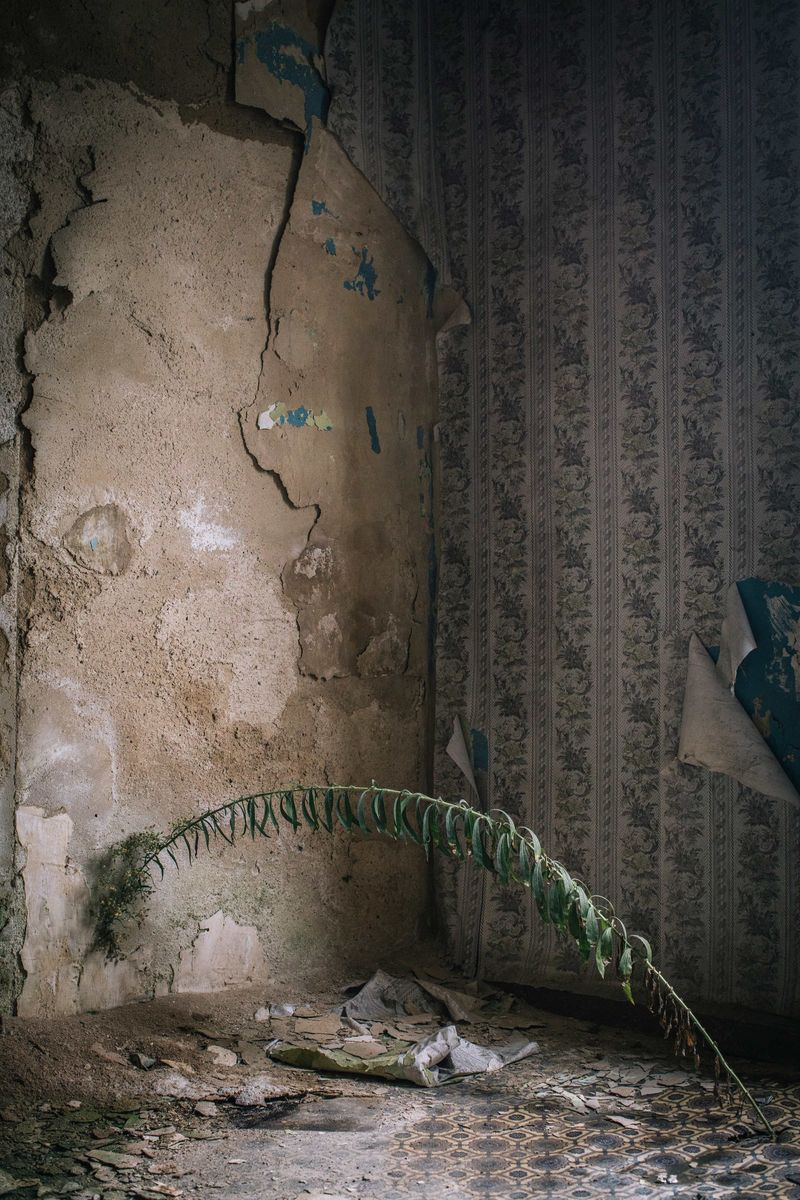 © Ryan Koopmans - Tskaltubo, Georgia by Ryan Koopmans