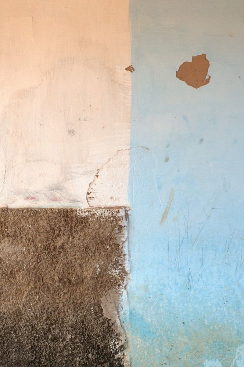 © Michelle Bastos - Image from the About Lines, Mistakes and Absences photography project