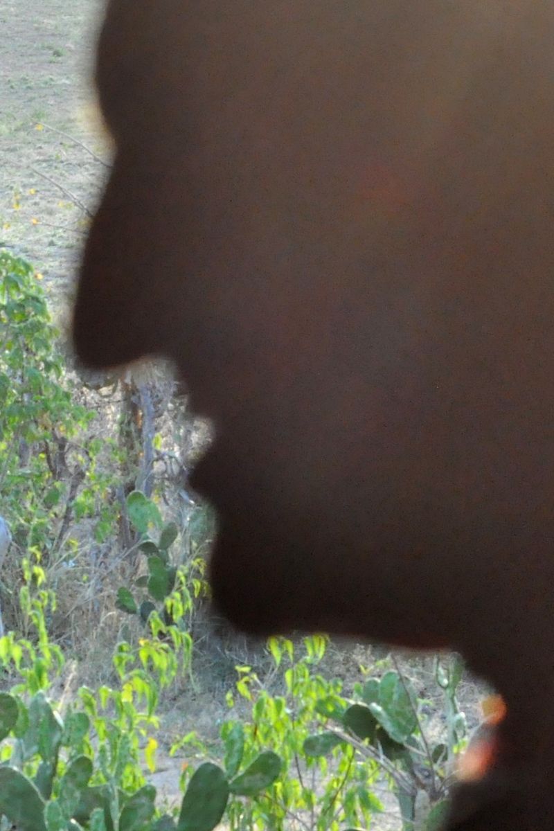 © Michelle Bastos - Image from the Ser-tão photography project