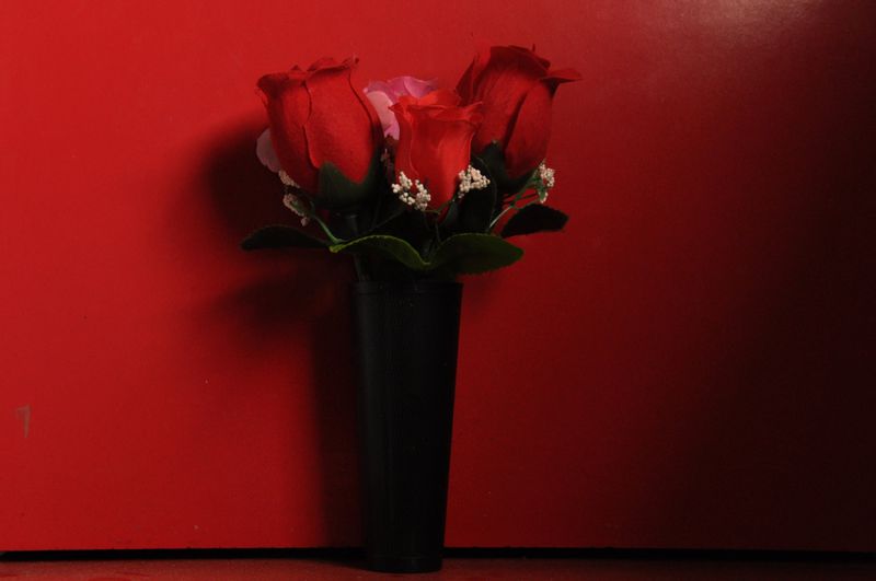 © Michelle Bastos - Image from the Ser-tão photography project