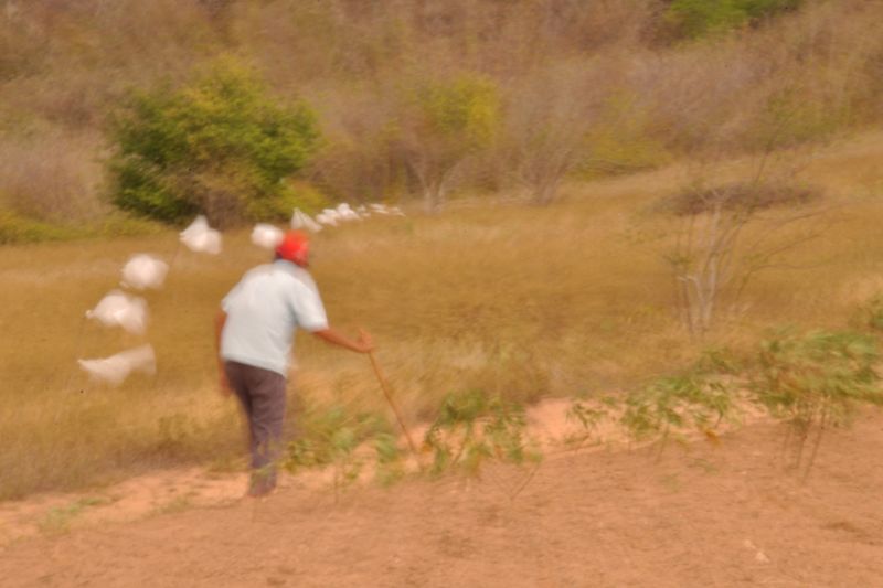 © Michelle Bastos - Image from the F.Ilha photography project