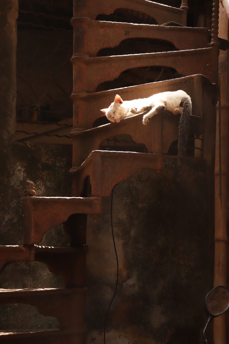 © Senjuti Das - Image from the Saudade photography project
