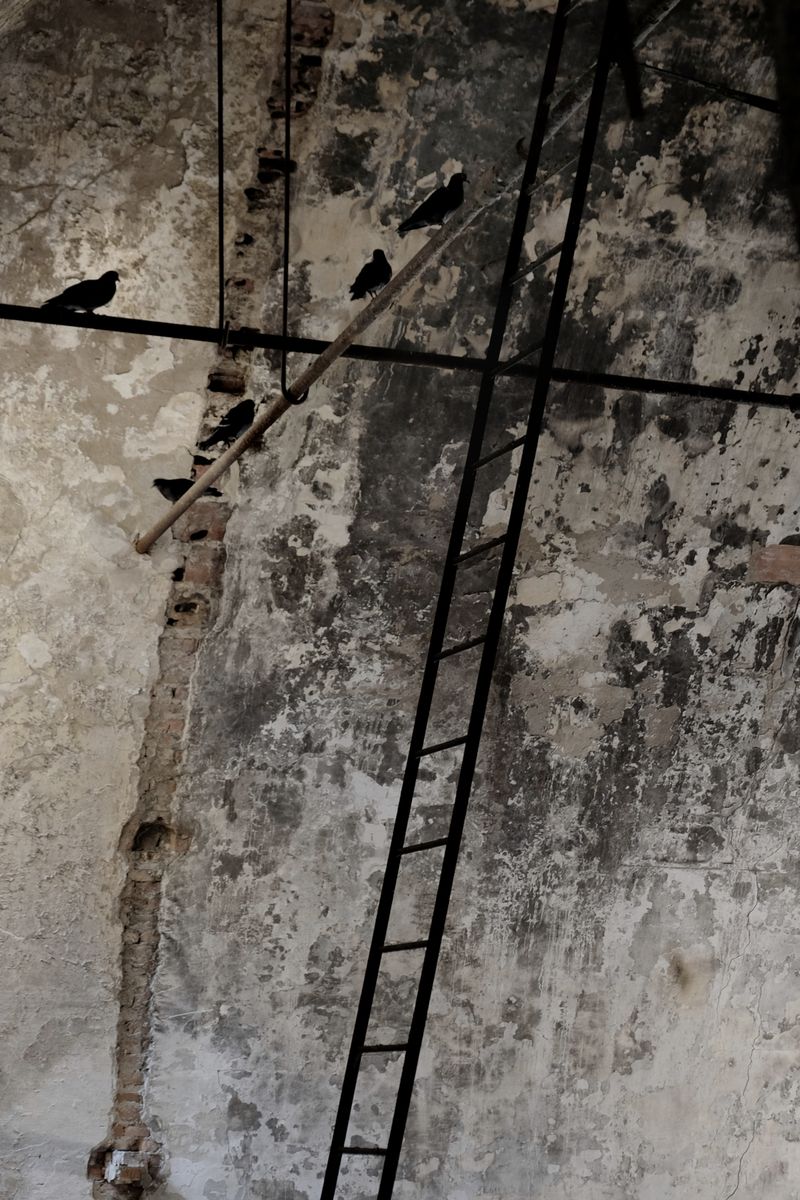 © Nicola Paccagnella - Image from the UMANE TRACCE photography project