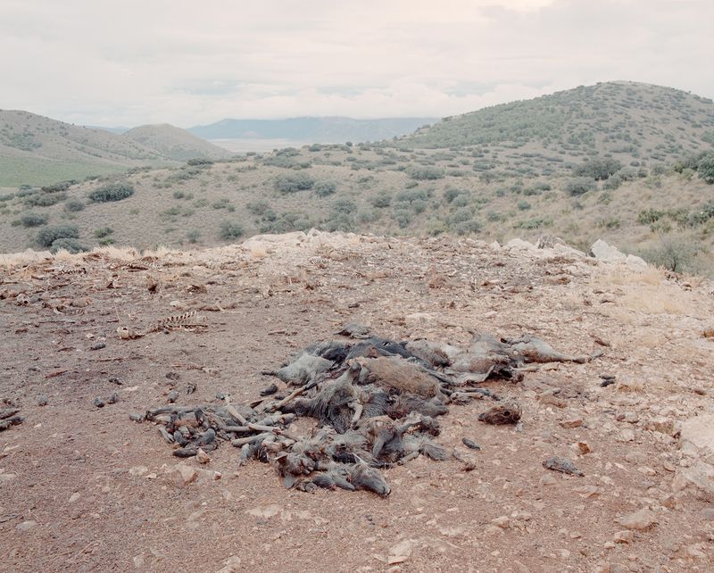 © Pablo Castilla - Image from the Altiplano photography project
