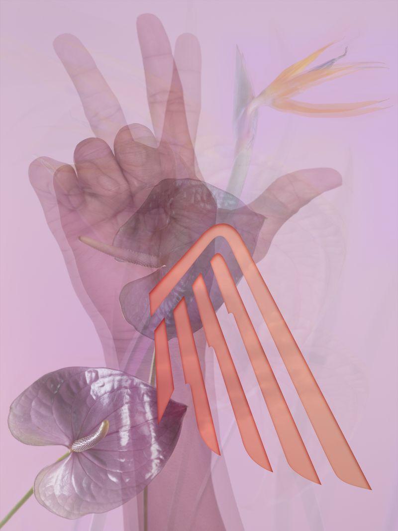 © Joseph Desler Costa - Three Finger Honda Wing Three Flower , Joseph Desler Costa