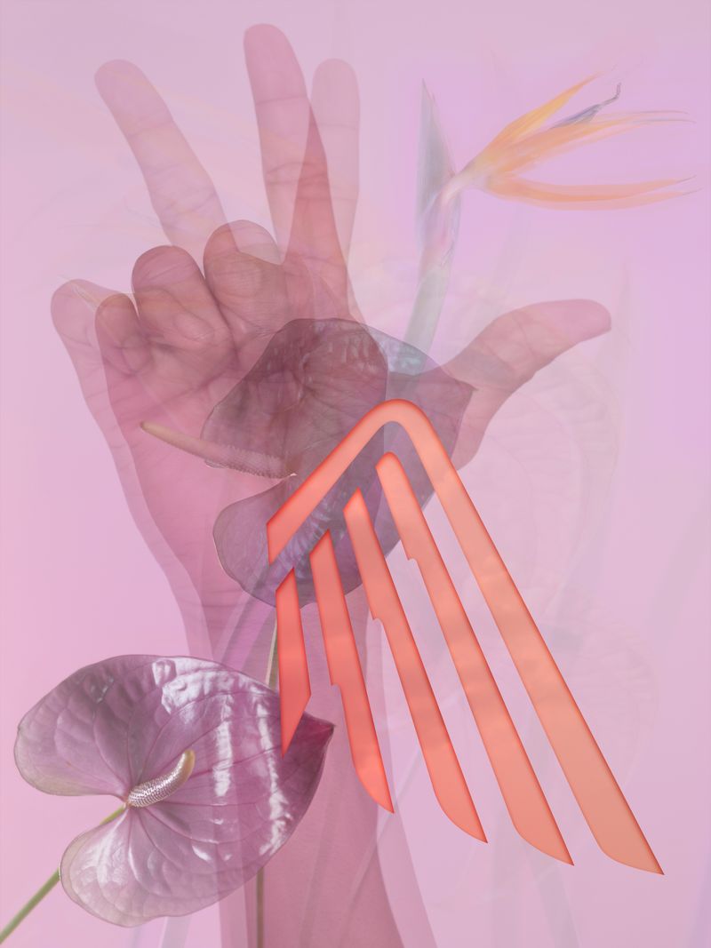 © Joseph Desler Costa - Three Finger Honda Wing Three Flower , Joseph Desler Costa