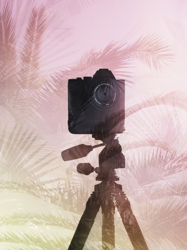© Joseph Desler Costa - f8 Tropical, Joseph Desler Costa