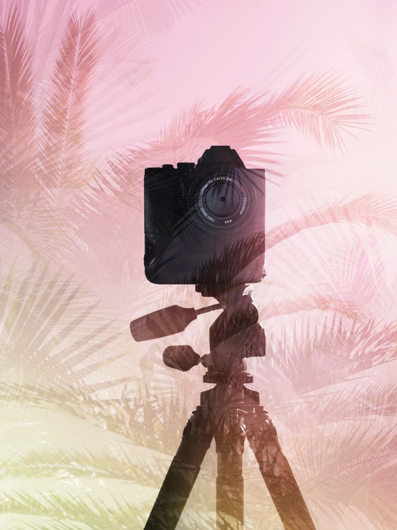 © Joseph Desler Costa - f8 Tropical, Joseph Desler Costa