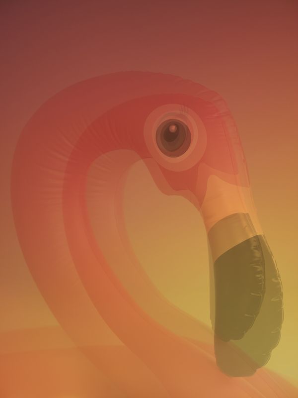 © Joseph Desler Costa - Pink Blown Flamingo Eye Hole, Joseph Desler Costa