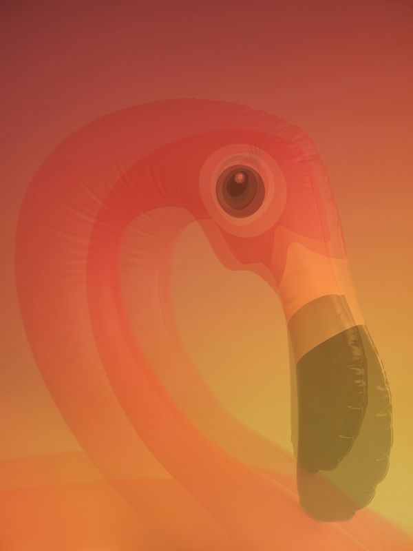 © Joseph Desler Costa - Pink Blown Flamingo Eye Hole, Joseph Desler Costa