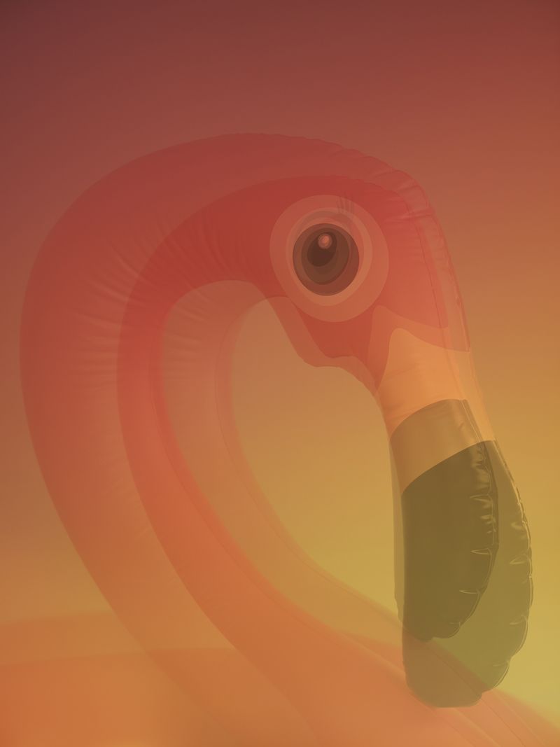 © Joseph Desler Costa - Pink Blown Flamingo Eye Hole, Joseph Desler Costa