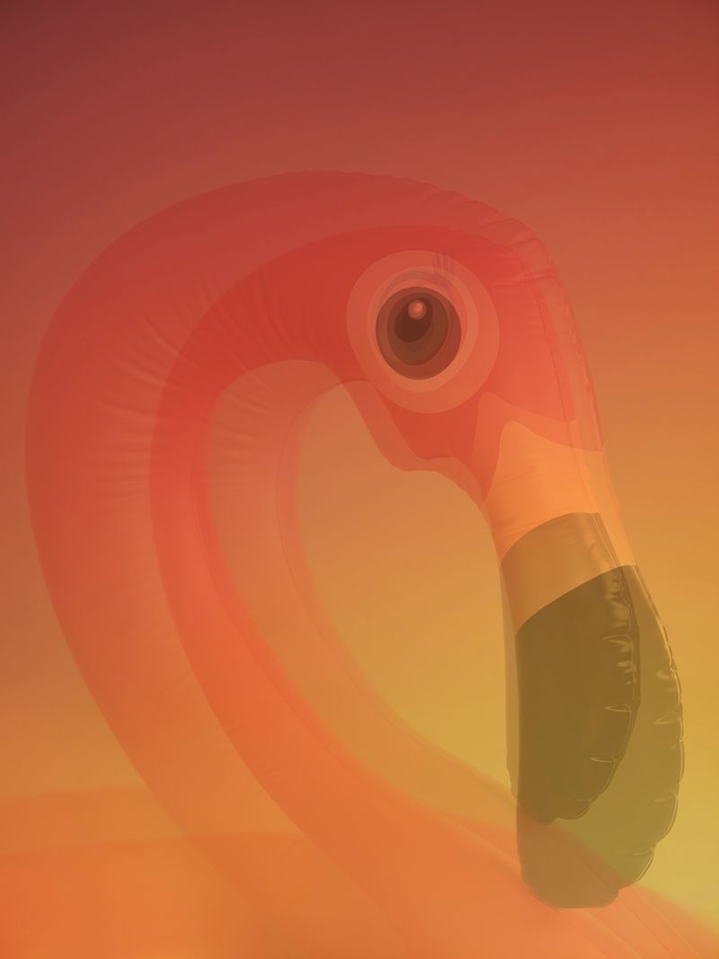 © Joseph Desler Costa - Pink Blown Flamingo Eye Hole, Joseph Desler Costa