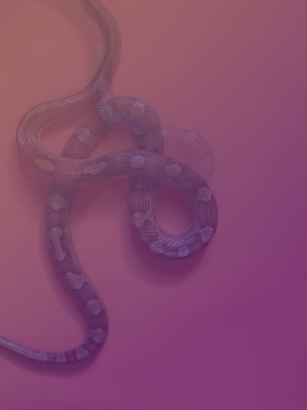 © Joseph Desler Costa - Pink snakes
