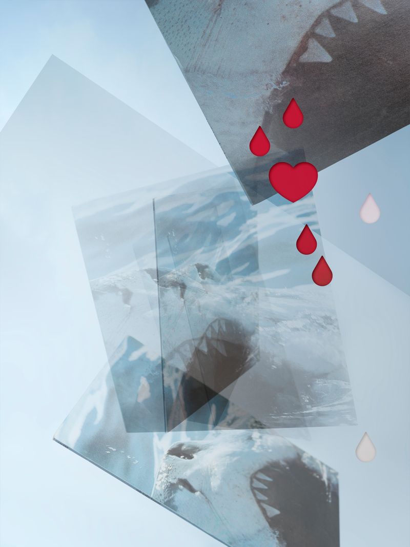 © Joseph Desler Costa - White Shark