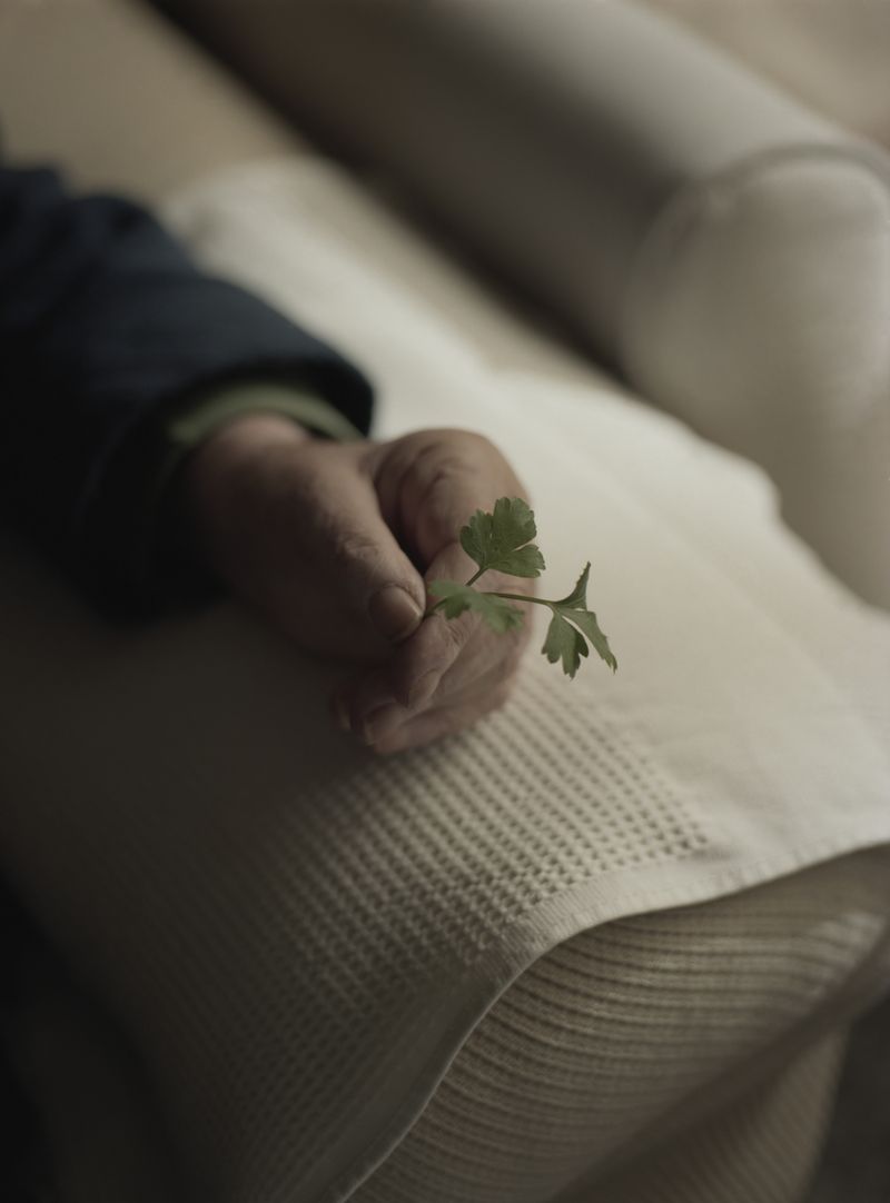 © Alfonso Almendros - Image from the Study About The Construction Of A Garden photography project