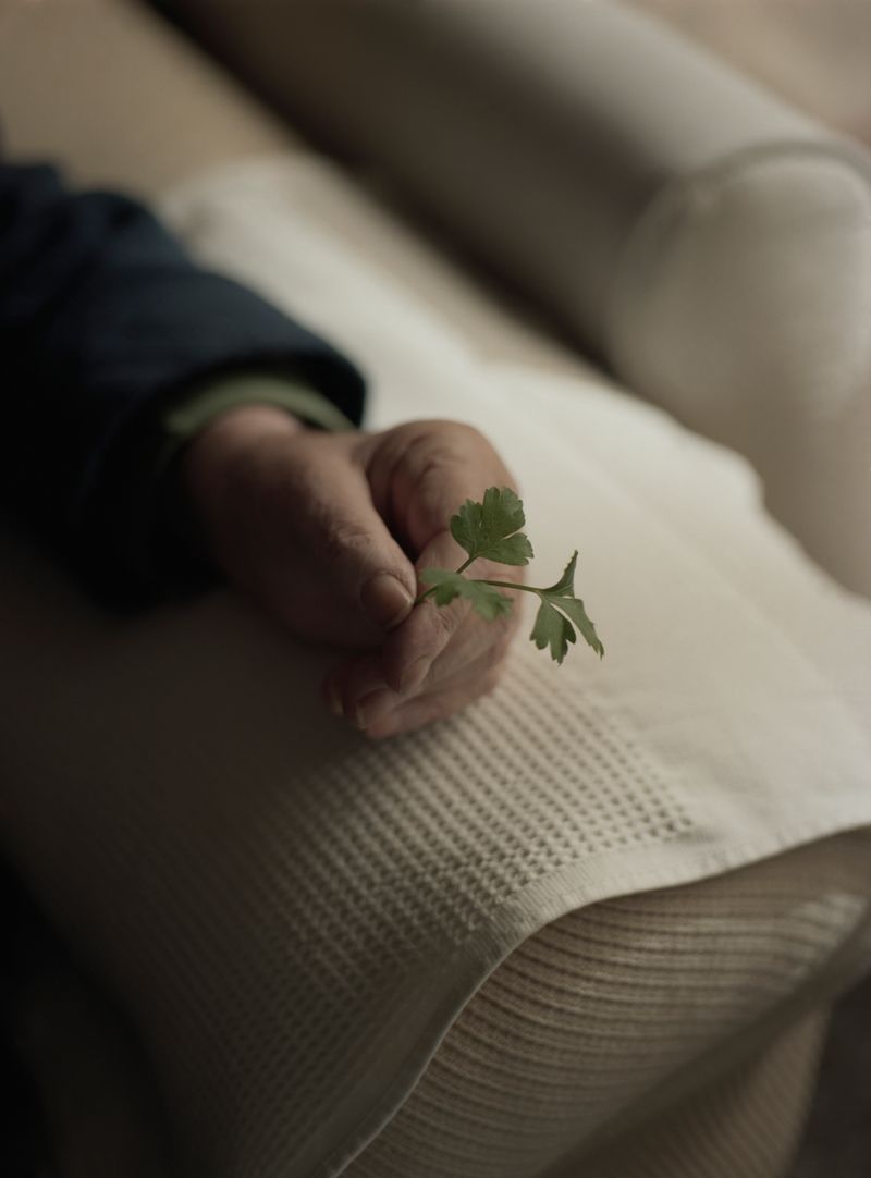 © Alfonso Almendros - Image from the Study About The Construction Of A Garden photography project