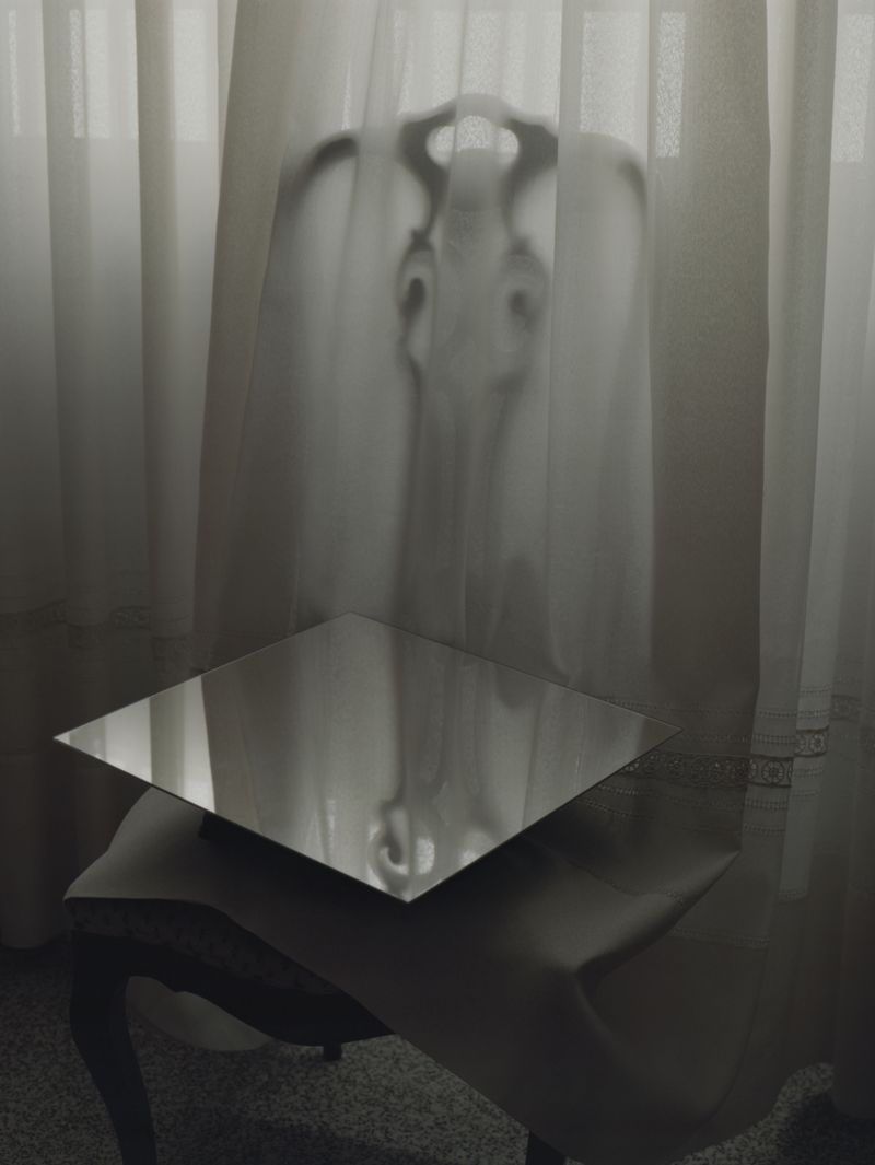 © Alfonso Almendros - Image from the Study About The Construction Of A Garden photography project