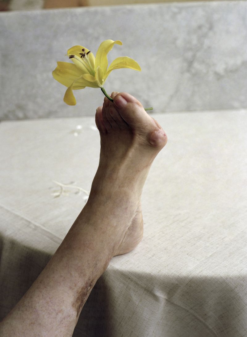 © Alfonso Almendros - Image from the Study About The Construction Of A Garden photography project