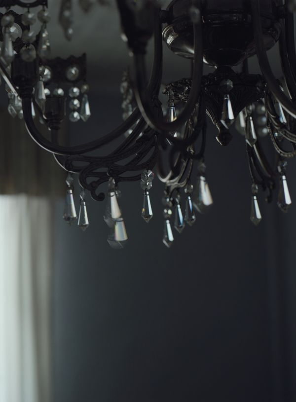 © Alfonso Almendros - Image from the Study About The Construction Of A Garden photography project